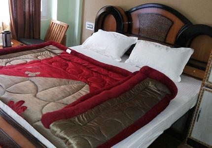 Hotel Mansarovar Banjar Экстерьер фото